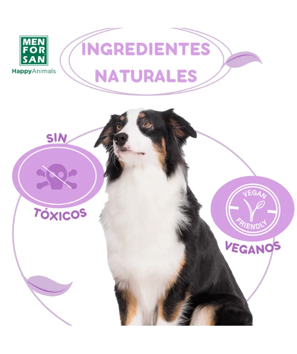Menforsan Spray Antiinsectos Perro (Margosa, Geraniol y Lavandino) 250 ml - Image 4