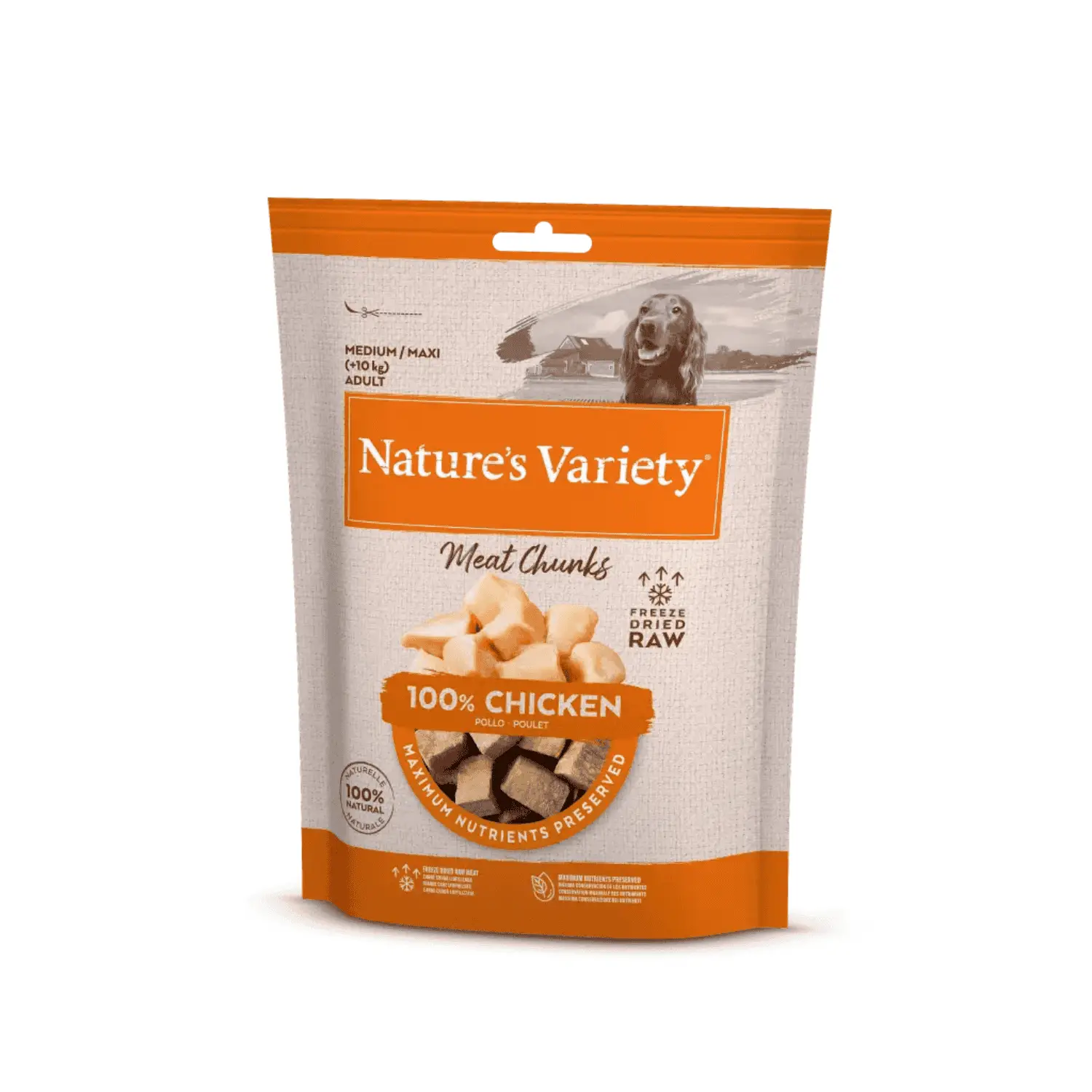Nature'S Variety Dog Meat Chunks 50 g