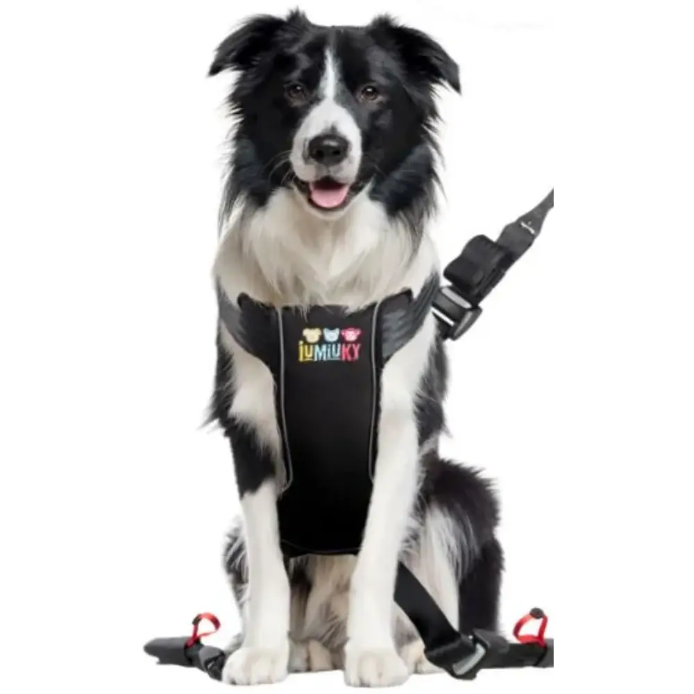 Iumiuky Travel Fix Arnés Pet Coche para Perros - Image 3
