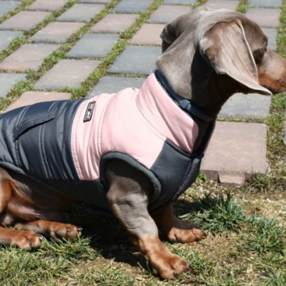 Nayeco Chaqueta Montecarlo Ropa para Perros - Image 3