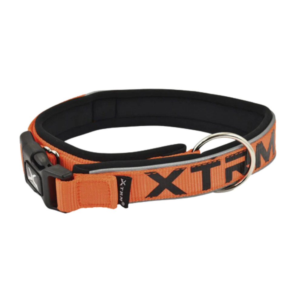 Nayeco Collar X-TRM Neon Flash para Perro - Image 4