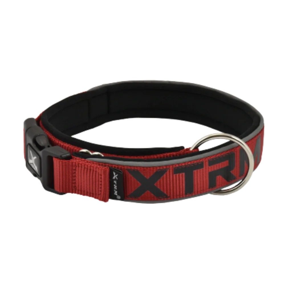 Nayeco Collar X-TRM Neon Flash para Perro - Image 5