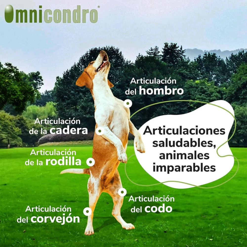 Omnicondro 10 | 60 comprimidos | Condroprotector para Perros, Gatos y Cachorros con Glucosamina y Condroitina para Articulaciones | Hifarmax - Image 2