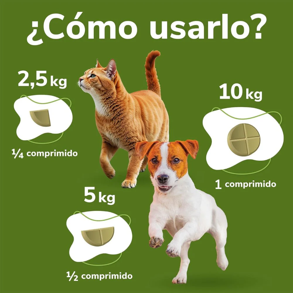 Omnicondro 10 | 60 comprimidos | Condroprotector para Perros, Gatos y Cachorros con Glucosamina y Condroitina para Articulaciones | Hifarmax - Image 4