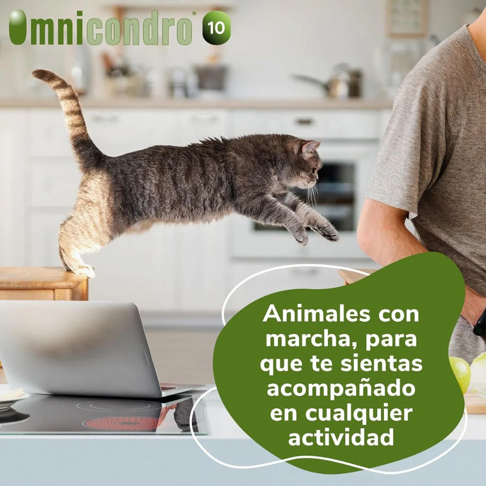 Omnicondro 10 | 60 comprimidos | Condroprotector para Perros, Gatos y Cachorros con Glucosamina y Condroitina para Articulaciones | Hifarmax - Image 6