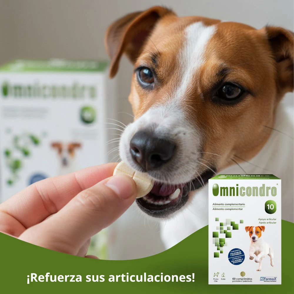 Omnicondro 10 | 60 comprimidos | Condroprotector para Perros, Gatos y Cachorros con Glucosamina y Condroitina para Articulaciones | Hifarmax - Image 7