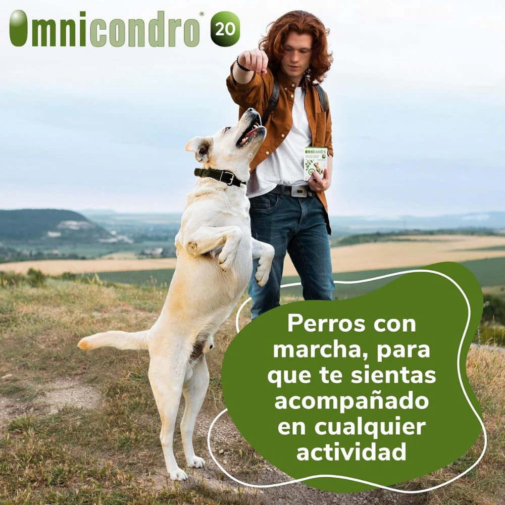 Omnicondro 20 | 60 comprimidos | Condroprotector para Perros y Gatos con Glucosamina y Condroitina | Suplemento Nutricional para Reforzar Articulaciones | Hifarmax - Image 6