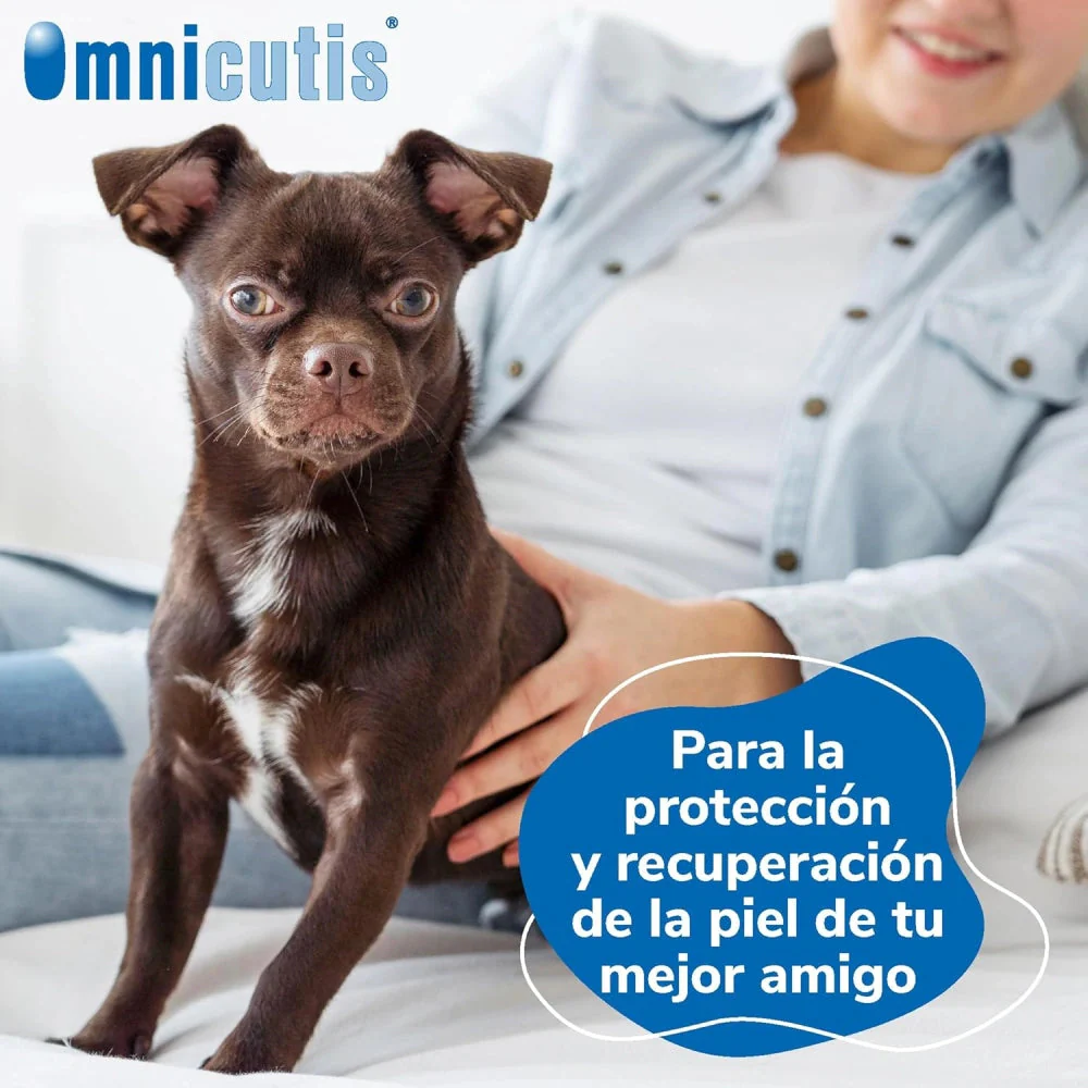 Omnicutis Líquido 200 ml Suplemento con Vitaminas, Zinc, Omega 3 y MSM para Perros y Gatos - Image 2