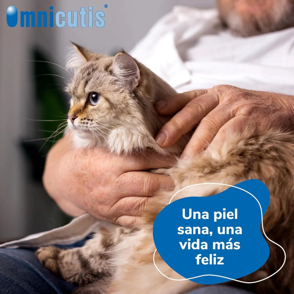 Omnicutis Líquido 200 ml Suplemento con Vitaminas, Zinc, Omega 3 y MSM para Perros y Gatos - Image 3