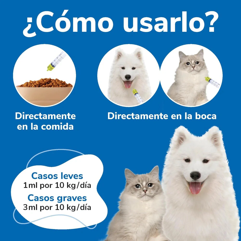 Omnicutis Líquido 200 ml Suplemento con Vitaminas, Zinc, Omega 3 y MSM para Perros y Gatos - Image 5