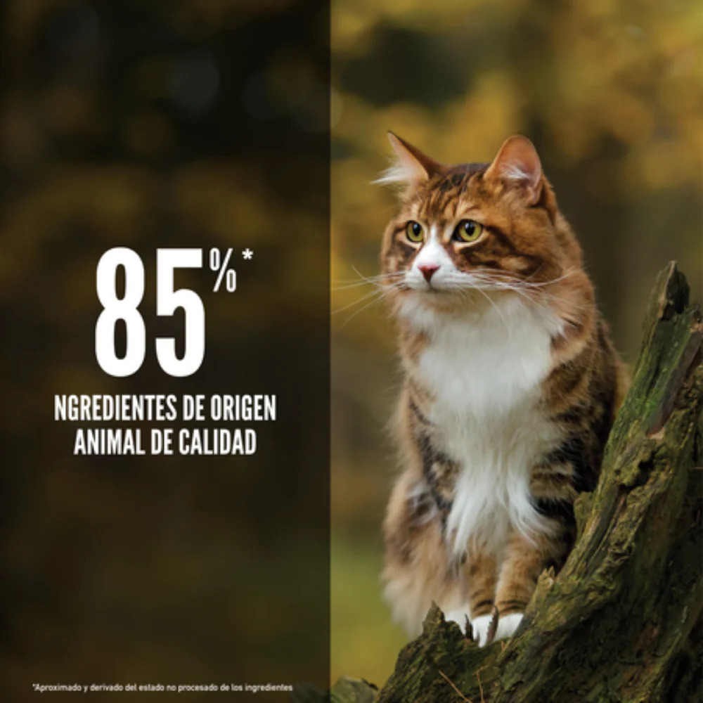 Orijen Cat Regional Red - Image 3