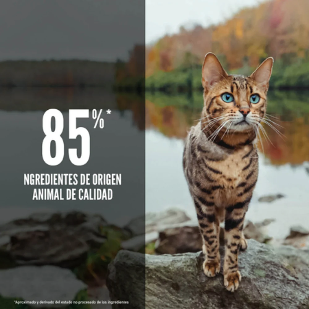 Orijen Cat Six Fish - Image 3