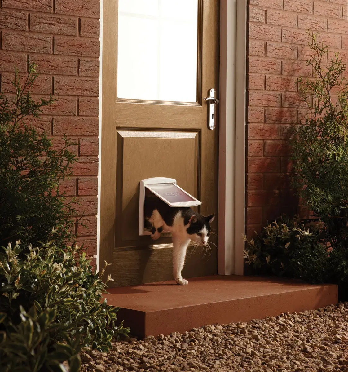 Petsafe Puerta Pequeña Blanco Mod.715 - Image 2