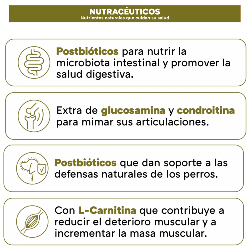 Picart Select Adult Sensitive Lamb & Rice Pienso para Perros de Cordero y Arroz - Image 4