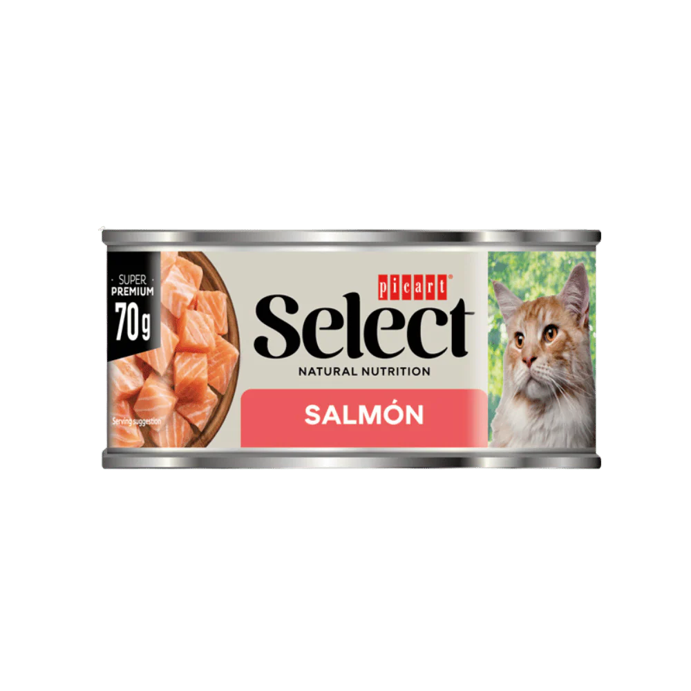 Picart Select Adult Salmón Lata Comida Húmeda para Gatos