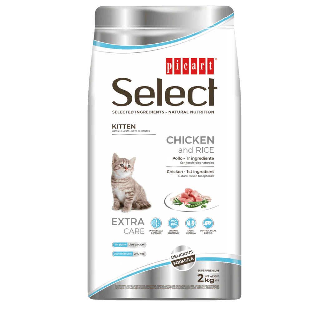 Picart Select Cat Kitten