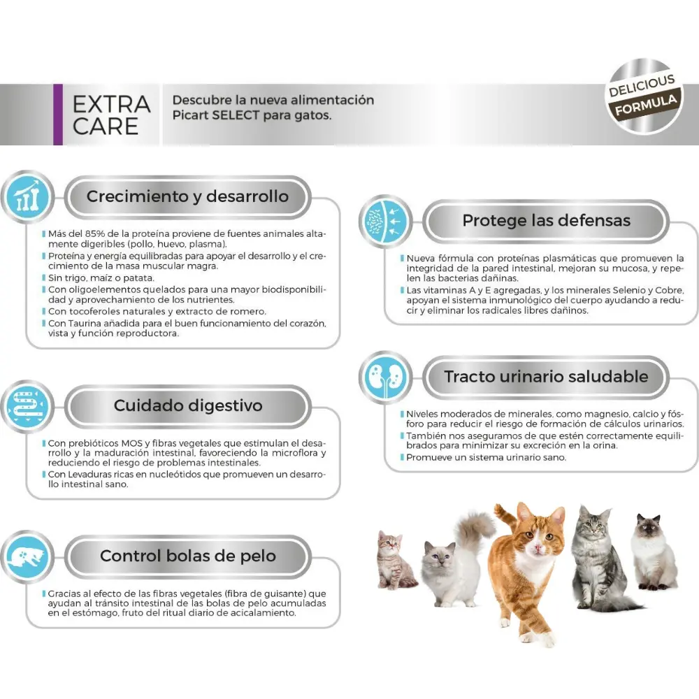 Picart Select Cat Kitten Pollo y Arroz 400 g - Image 3