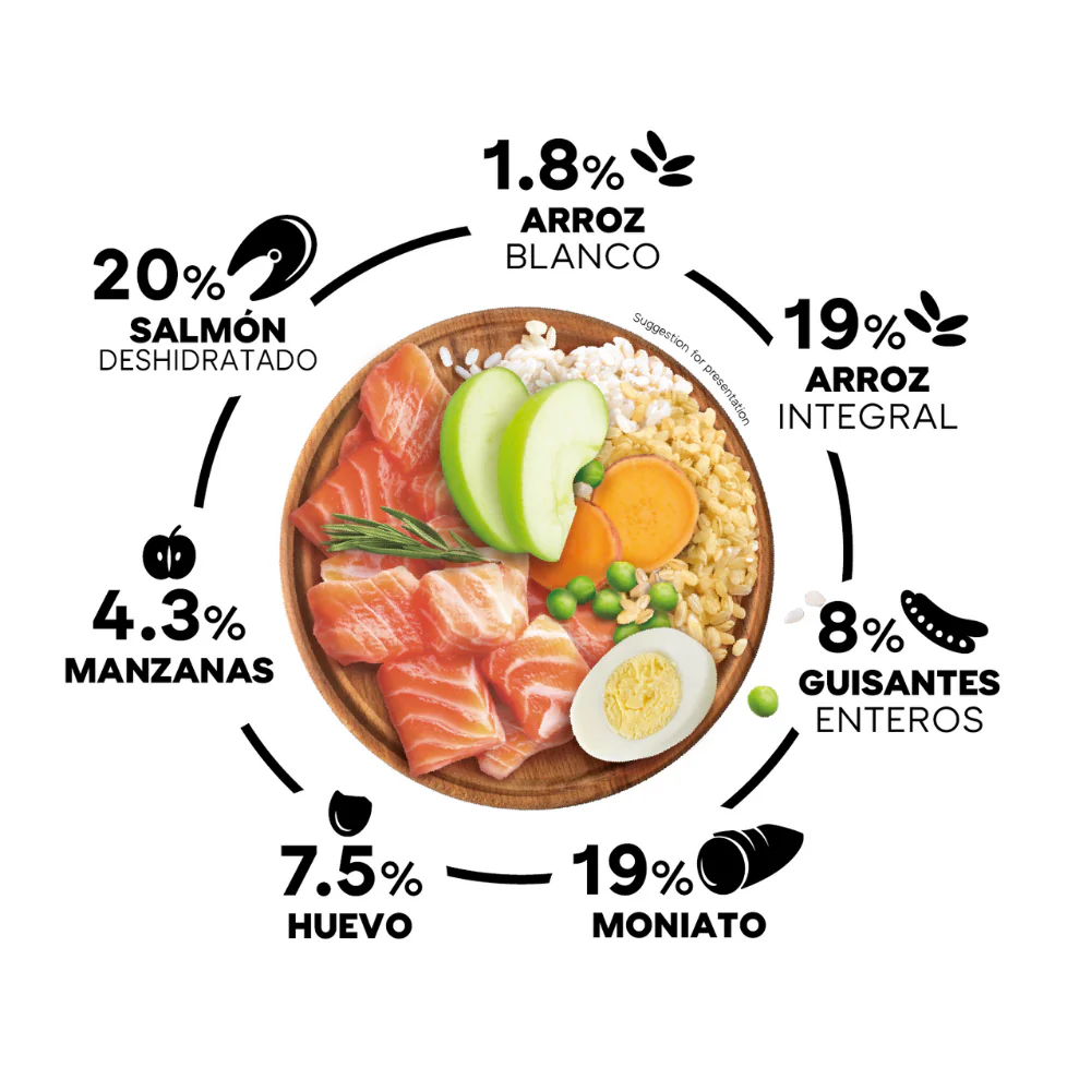 Picart Select Adult Mini Extra Salmón & Rice Pienso para Perros - Image 3