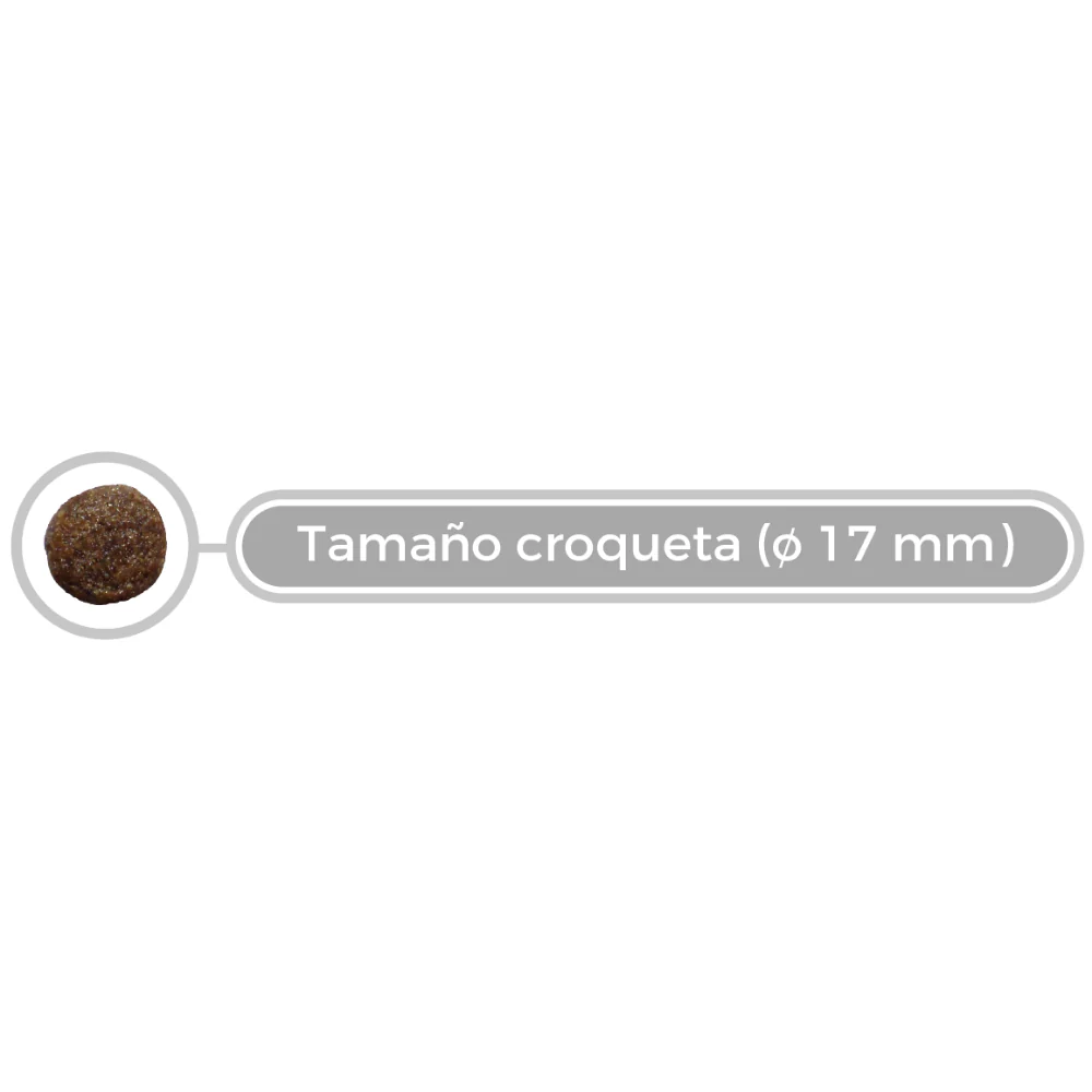 Picart Select Veterinary Diet Mobility Pienso para Perros - Image 4