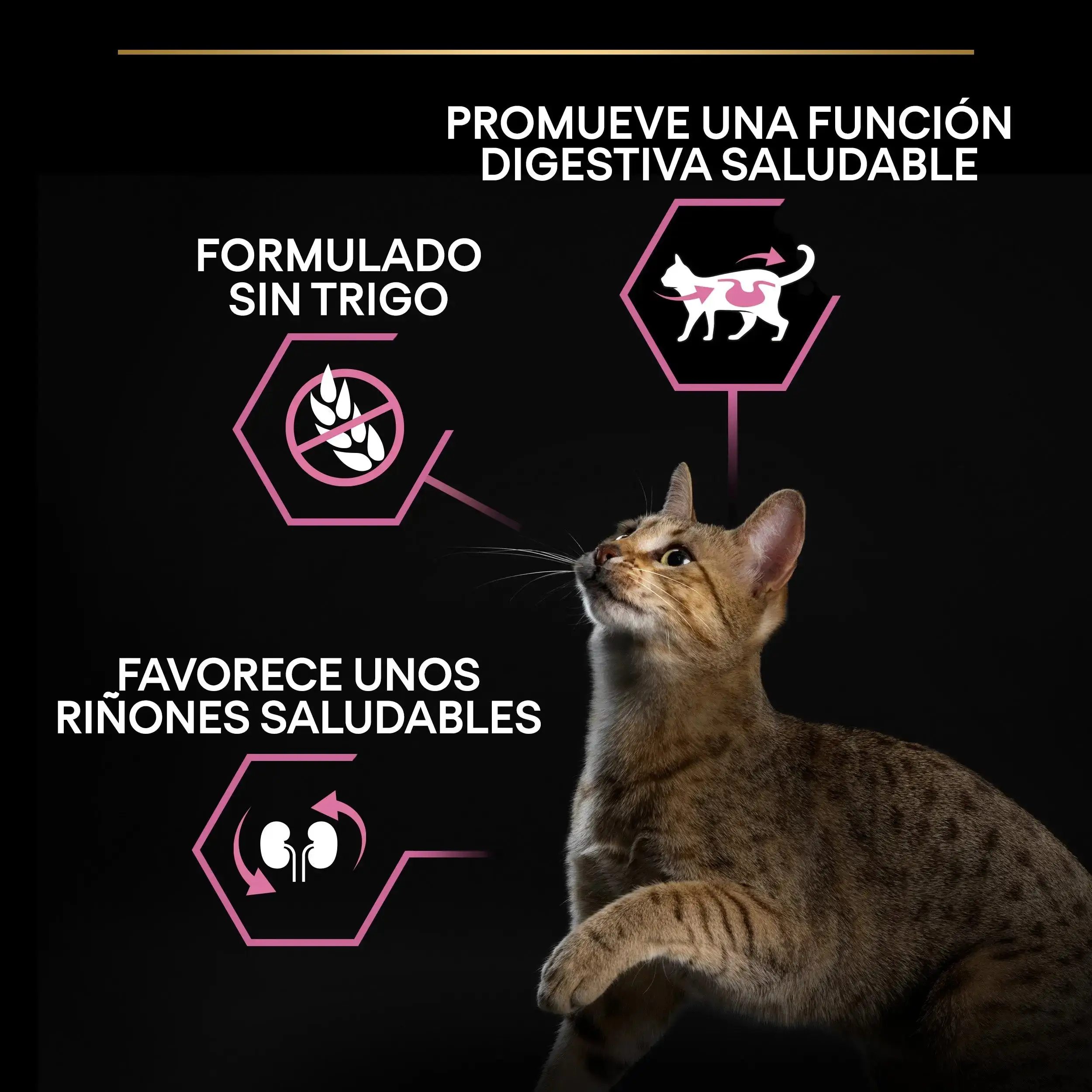 Pro Plan Cat Adult Delicate Digest Pavo 1,5 kg - Image 5