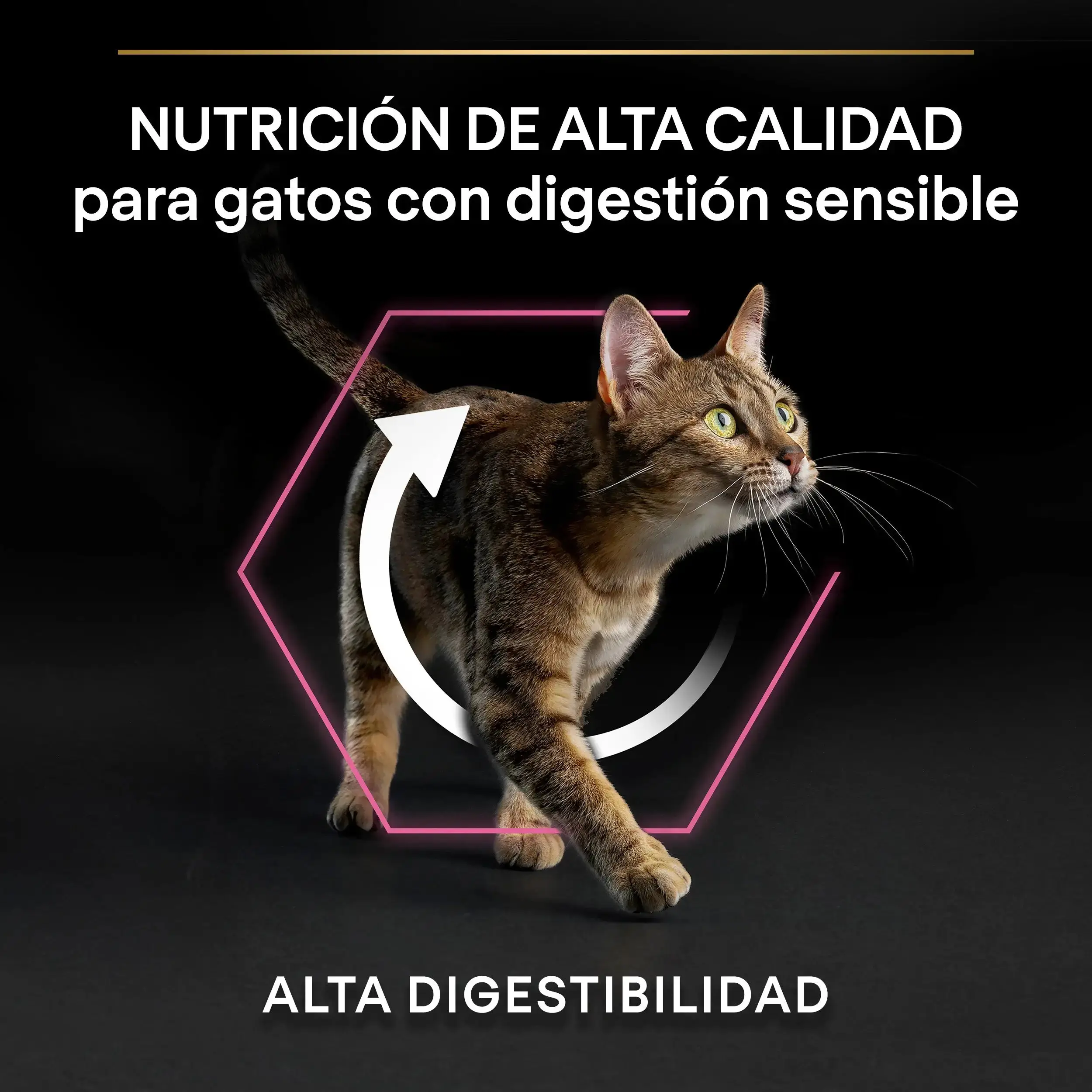 Pro Plan Cat Adult Delicate Digest Pavo 1,5 kg - Image 7