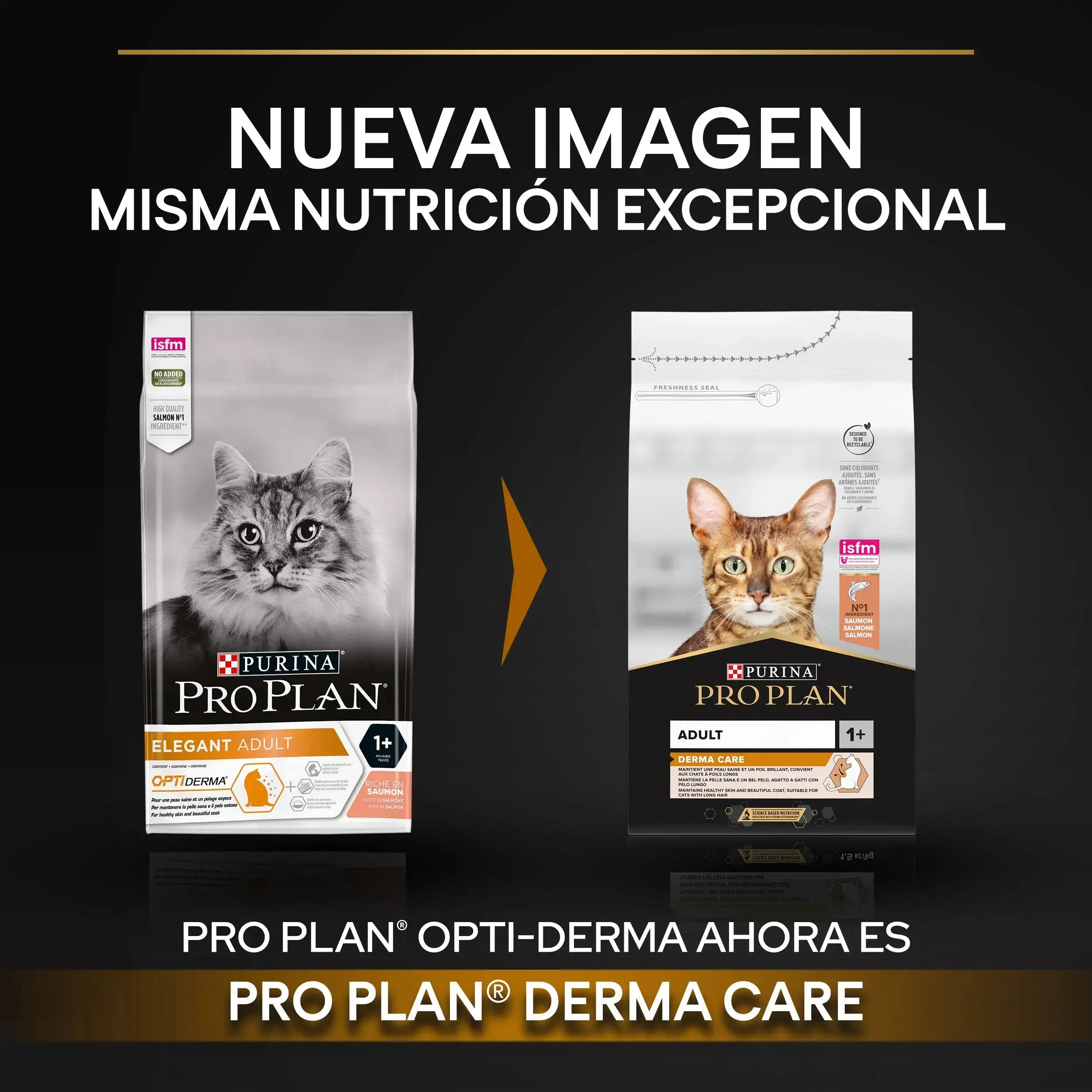 Pro Plan Cat Adult Derma Care Salmón 3 kg - Image 3