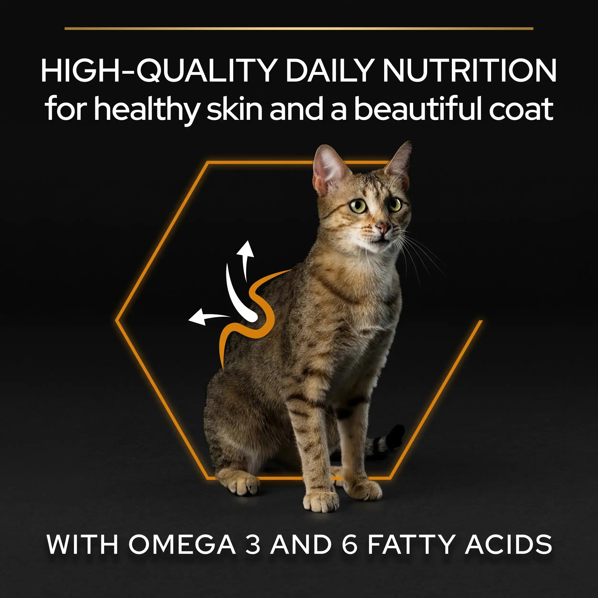 Pro Plan Cat Adult Derma Care Salmón 3 kg - Image 5