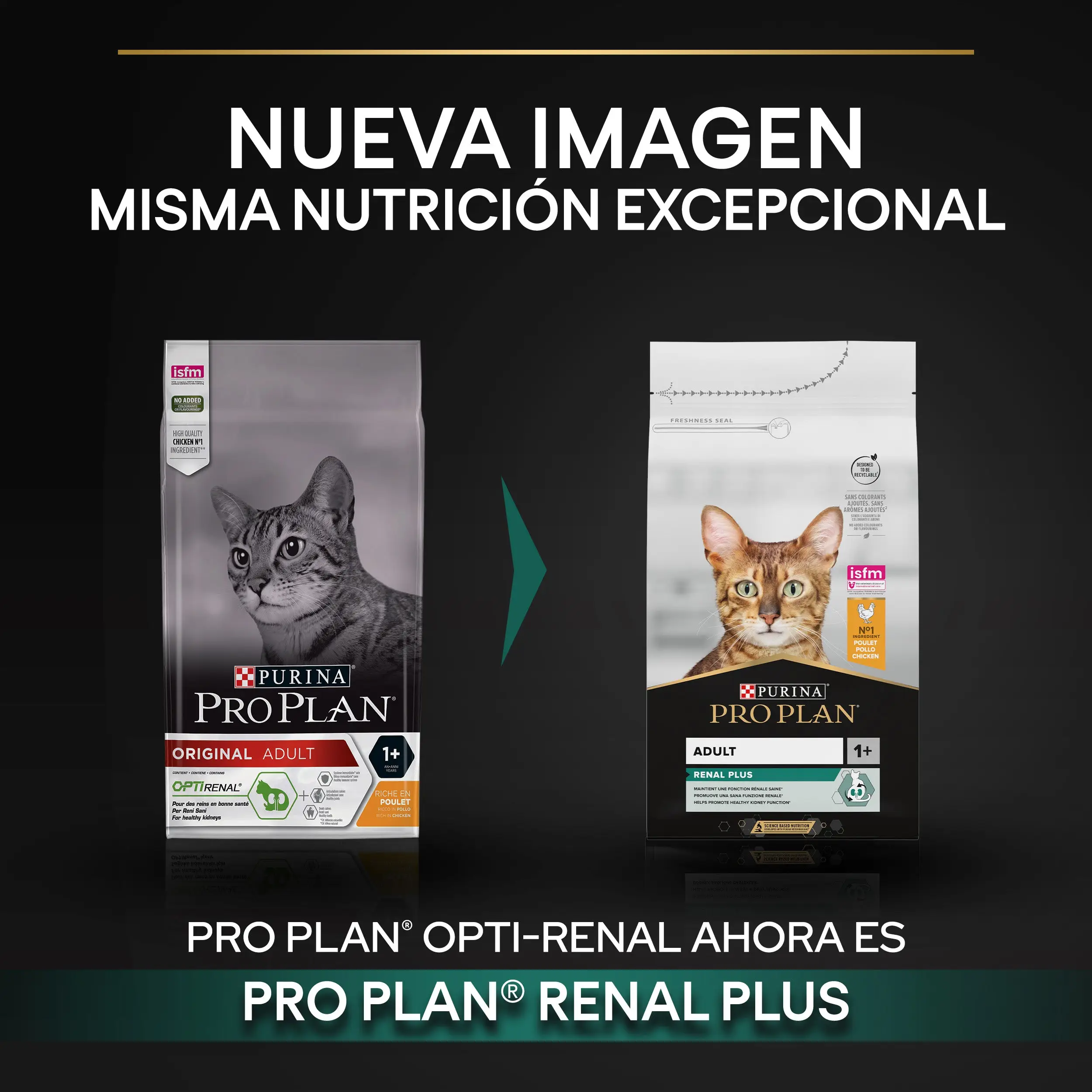Pro Plan Cat Adult Renal+ Pollo 1,5 kg - Image 3