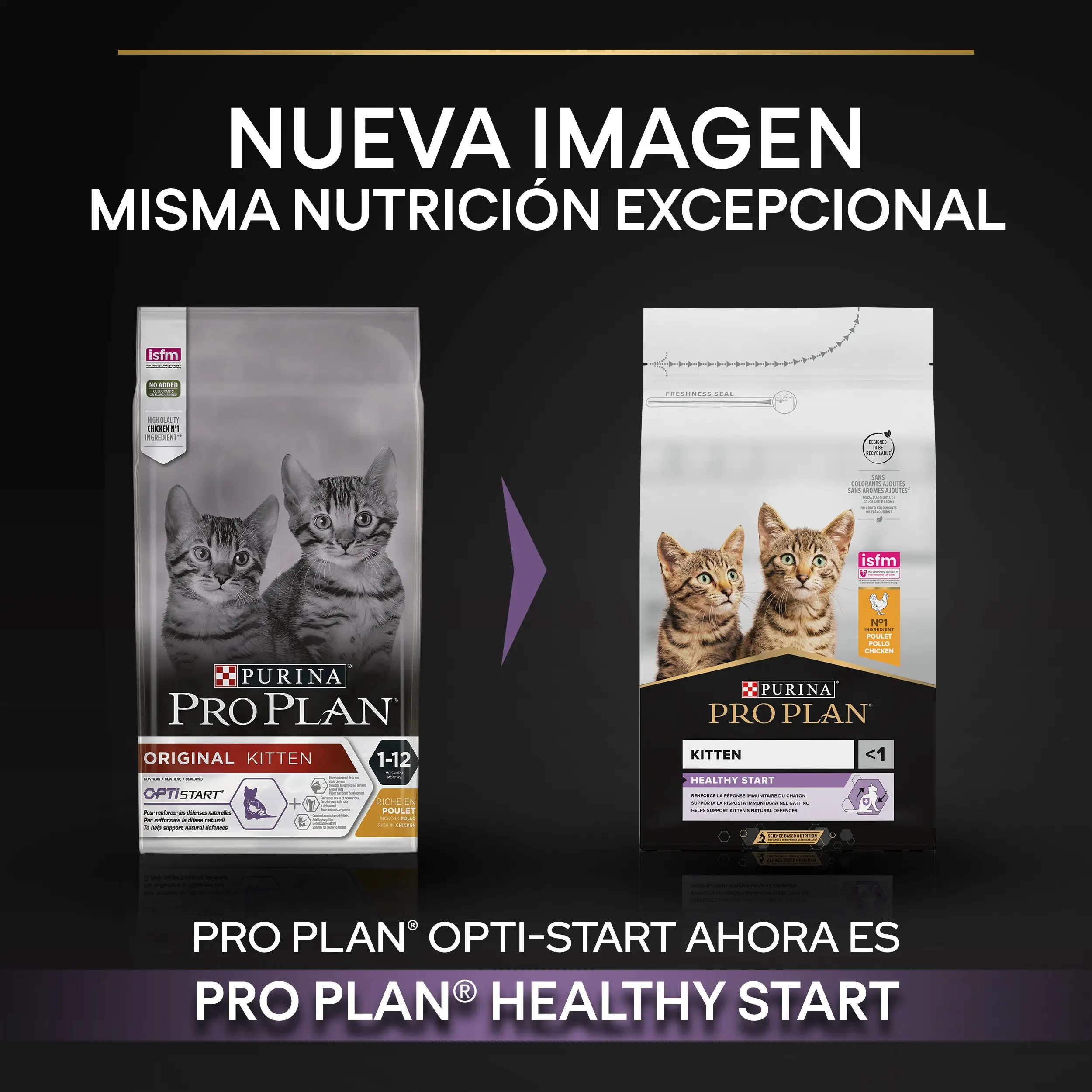 Pro Plan Cat Kitten Start Pollo Pienso para Gatitos - Image 3