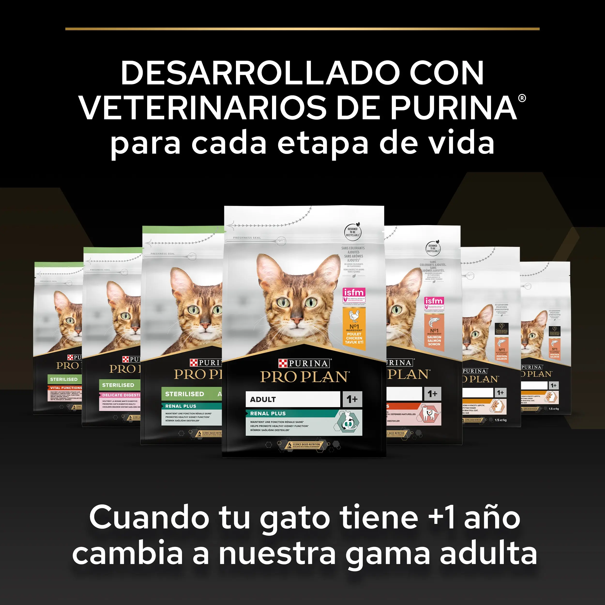 Pro Plan Cat Kitten Start Pollo Pienso para Gatitos - Image 4