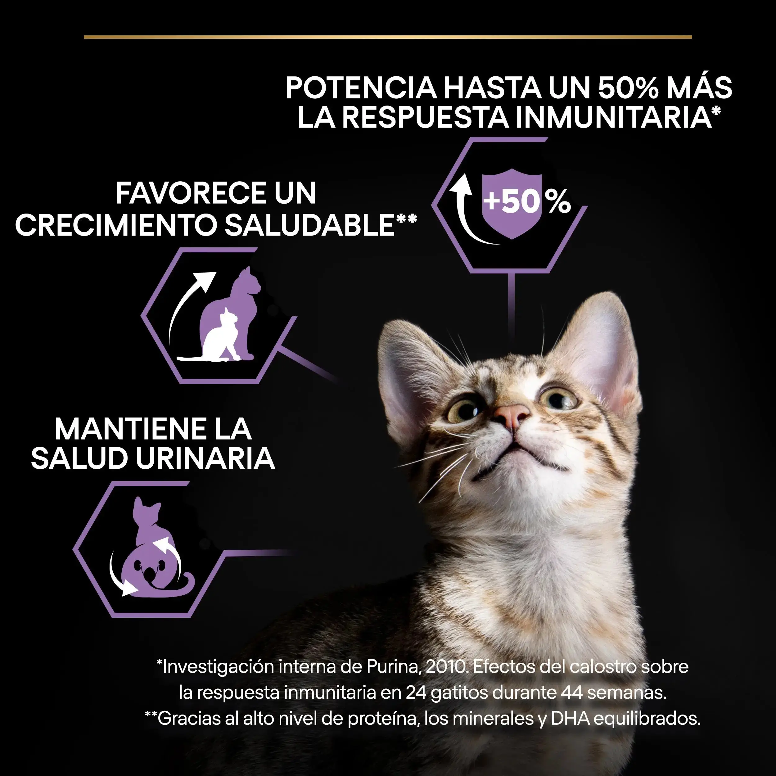 Pro Plan Cat Kitten Start Pollo Pienso para Gatitos - Image 5