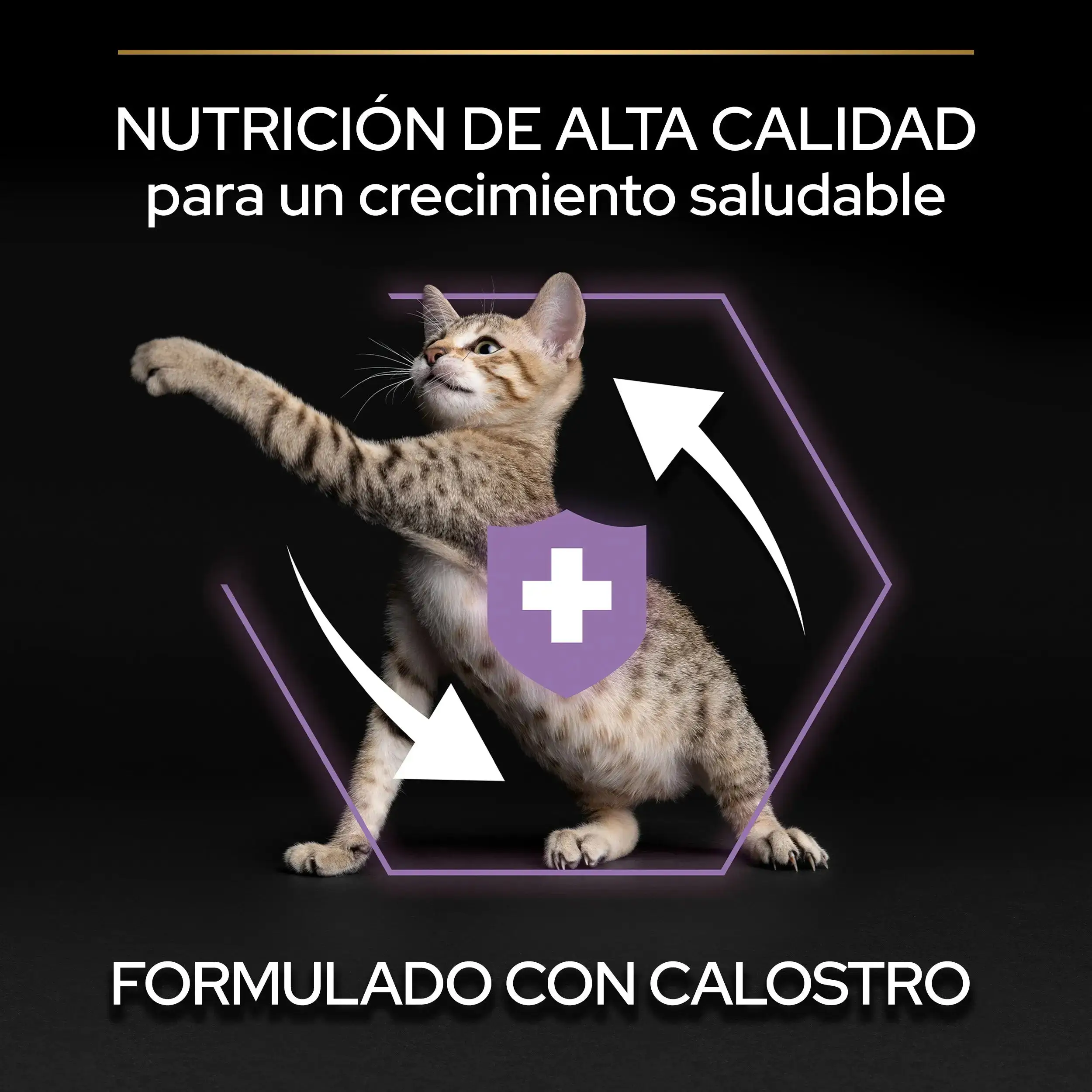 Pro Plan Cat Kitten Start Pollo Pienso para Gatitos - Image 8