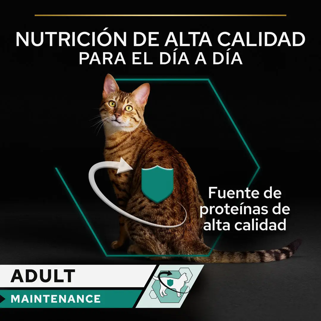 Pro Plan Cat Lata Adult Pollo 85 g - Image 2