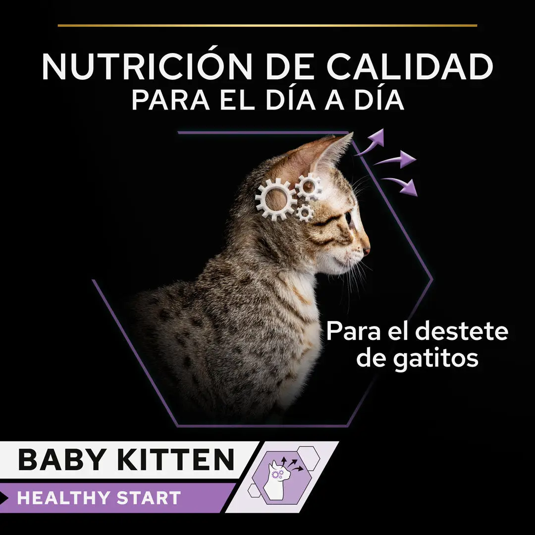 Pro Plan Cat Lata Baby Kitten Pollo 85 g - Image 3