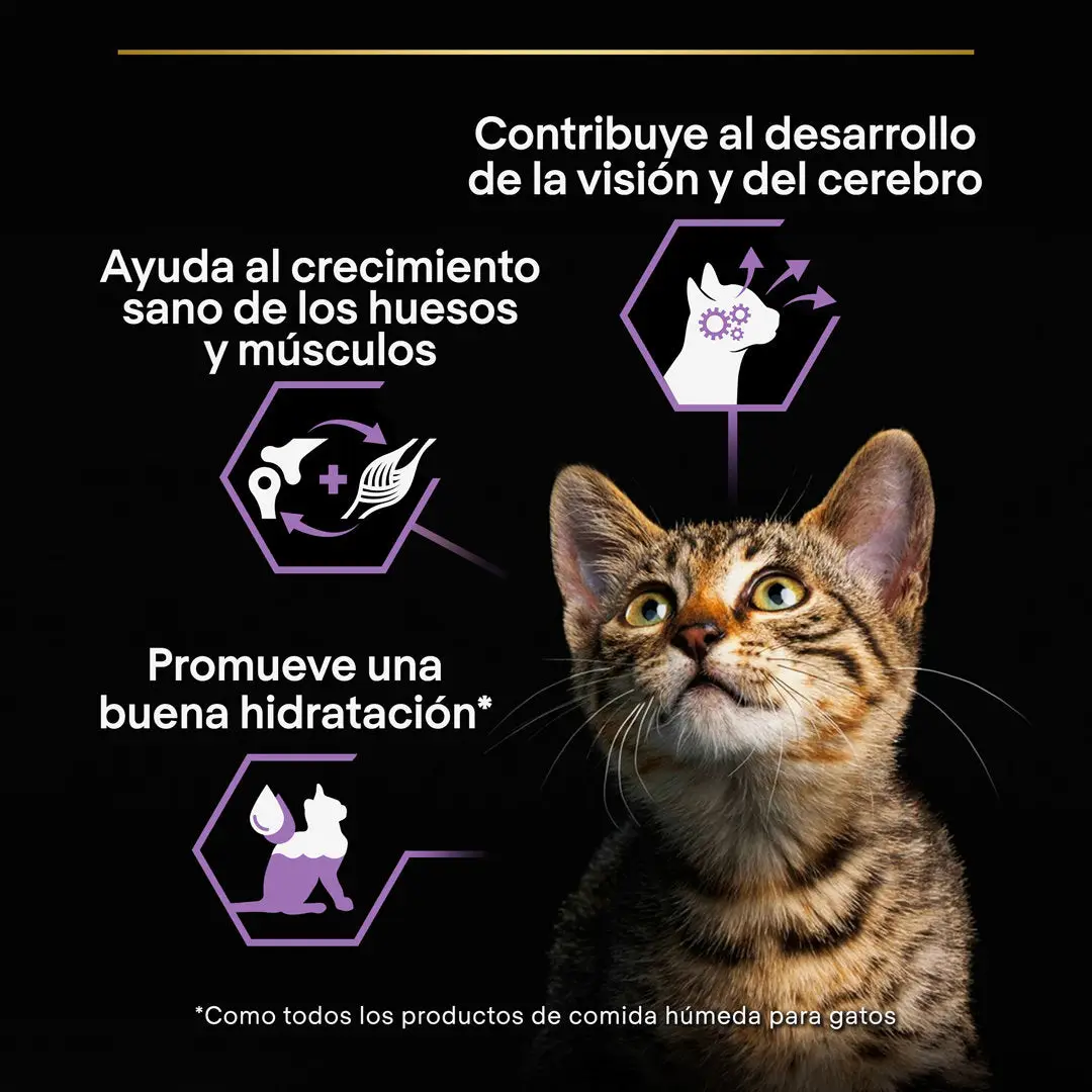 Pro Plan Cat Lata Baby Kitten Pollo 85 g - Image 4