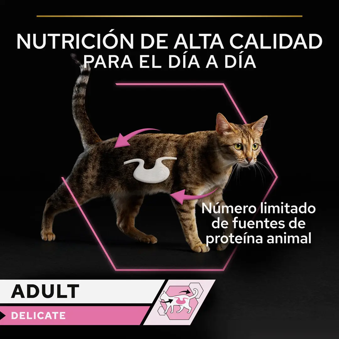 Pro Plan Cat Lata Delicate Pavo 85 g - Image 2