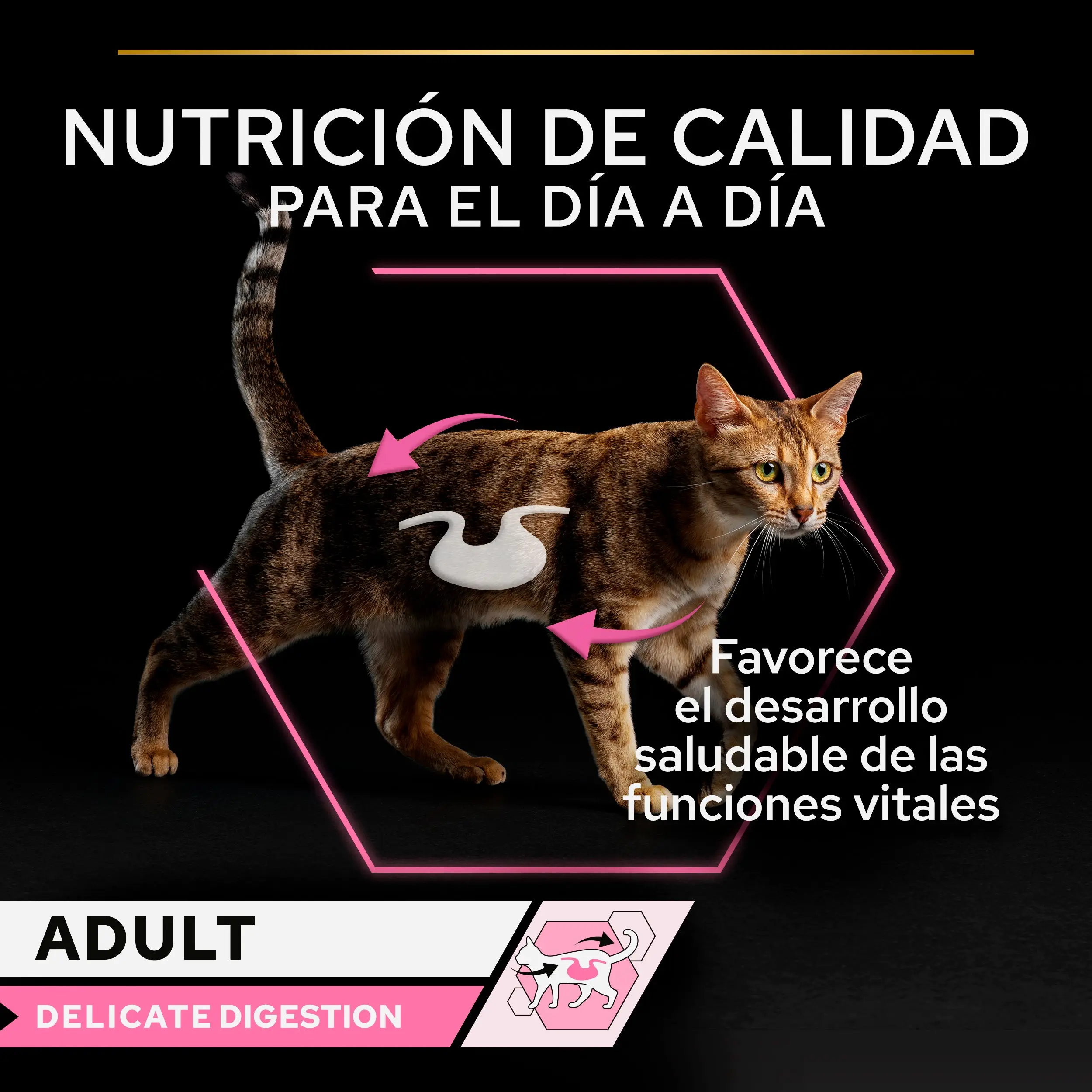 Pro Plan Cat Sobre Delicate Pescado y Pavo Pack 10X85 g - Image 2