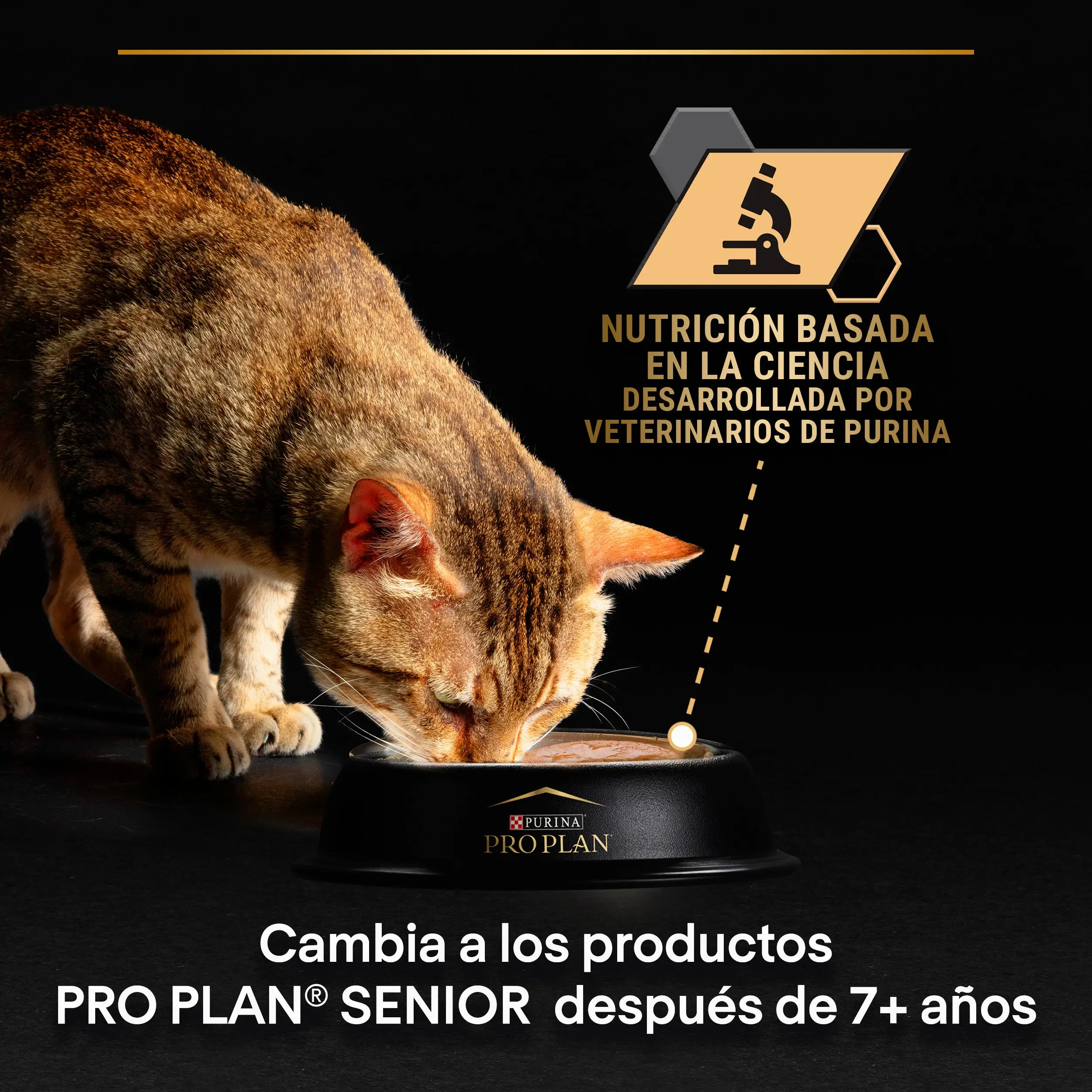 Pro Plan Cat Sobre Delicate Pescado y Pavo Pack 10X85 g - Image 5