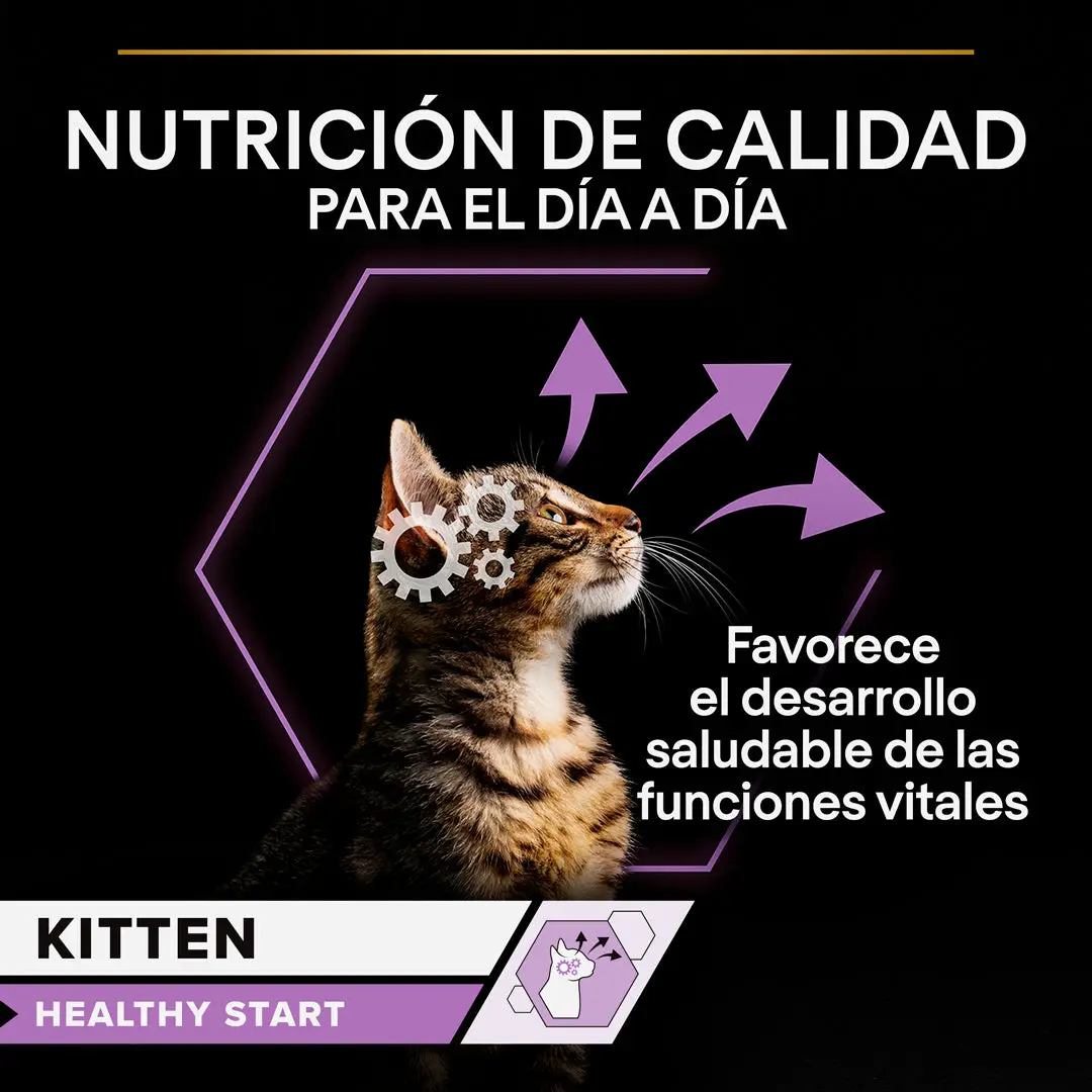 Pro Plan Cat Sobre Kitten Pavo 85 g - Image 3