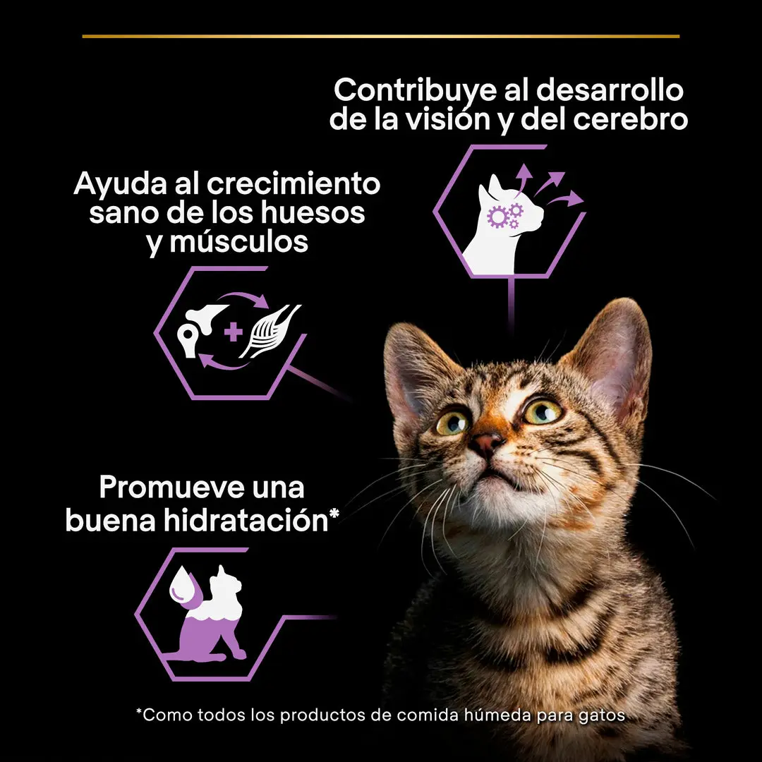 Pro Plan Cat Sobre Kitten Pavo 85 g - Image 4