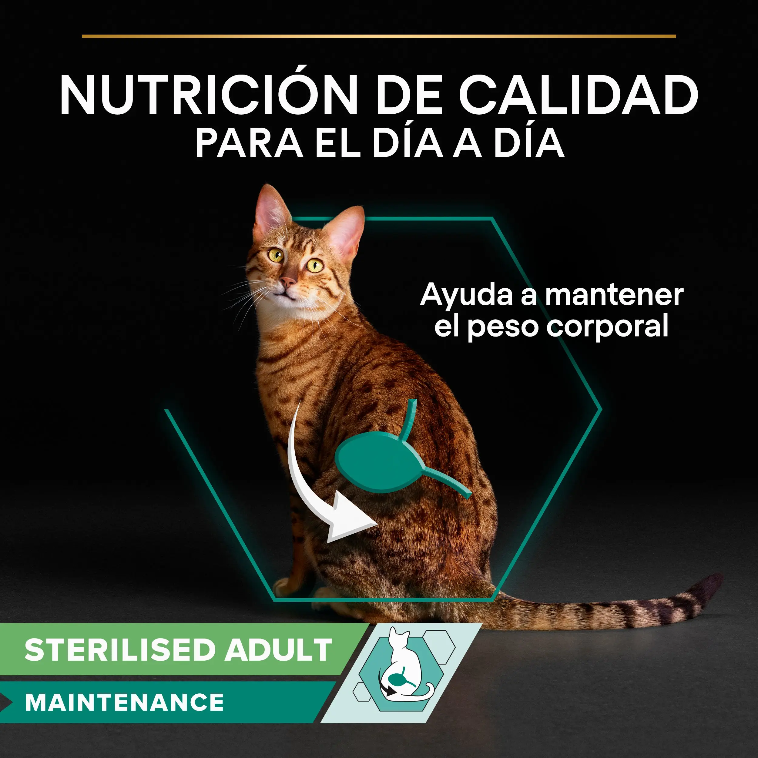 Pro Plan Cat Sobre Sterilised Buey y Pollo Pack 10x85 g - Image 2