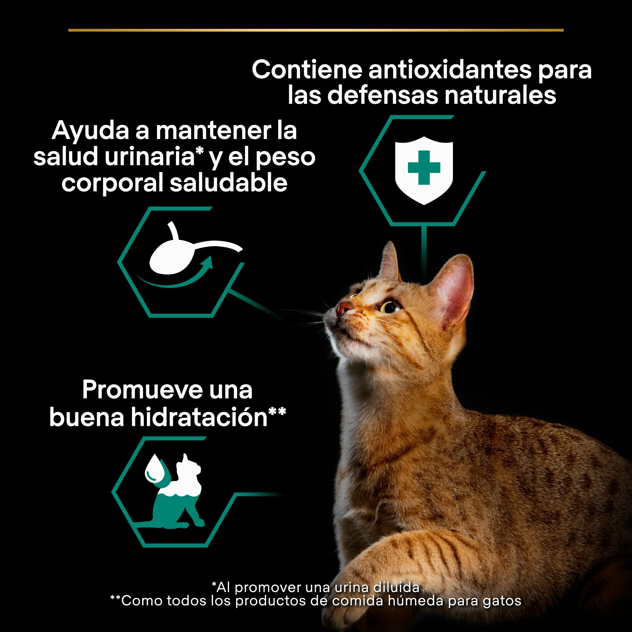 Pro Plan Cat Sobre Sterilised Buey y Pollo Pack 10x85 g - Image 3