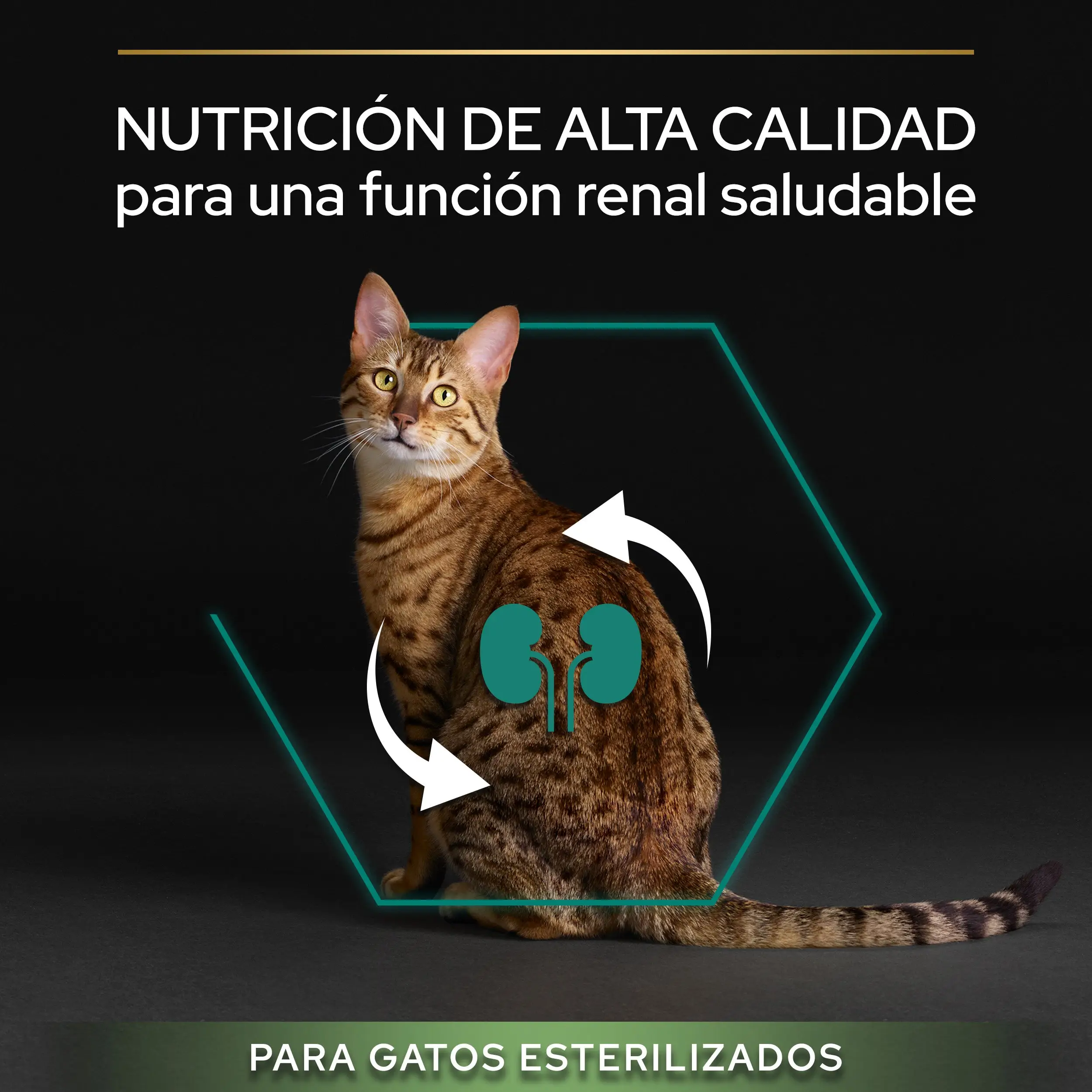 Pro Plan Cat Sterilised Adult Renal+ Pavo Pienso para Gatos Esterilizados - Image 7