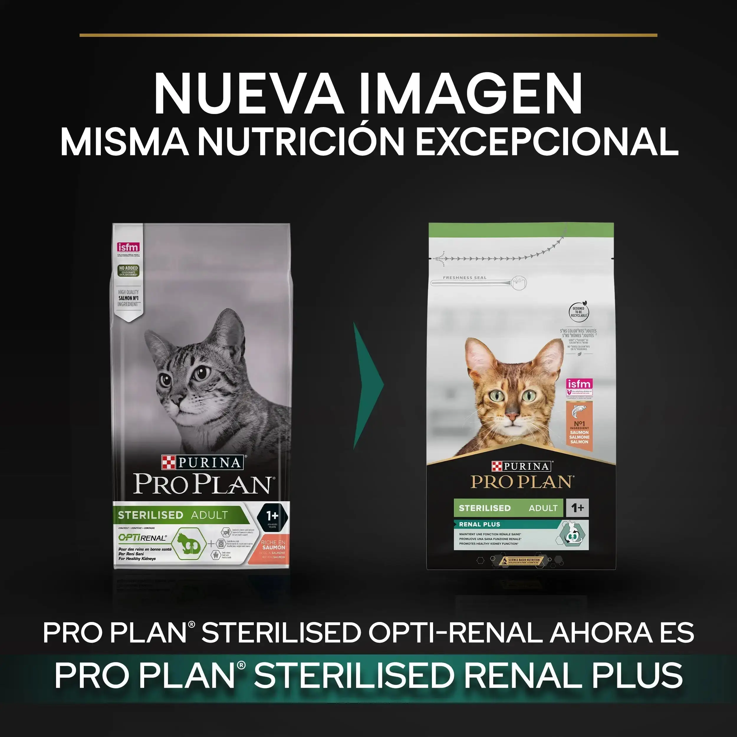 Pro Plan Cat Sterilized Adult Renal+ Salmón 3 kg - Image 3