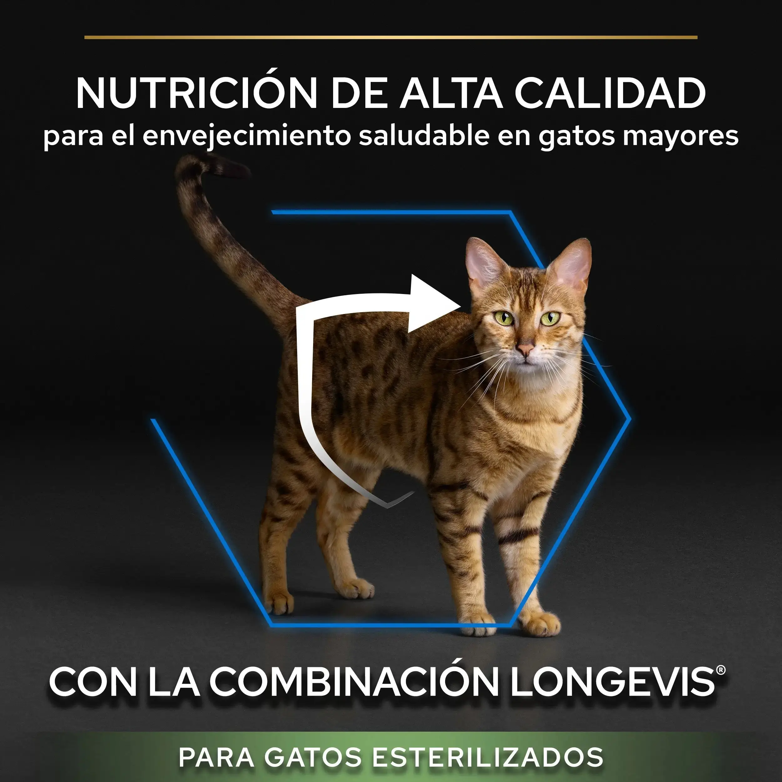 Pro Plan Cat Sterilized Senior 7+ Pavo 3 kg - Image 6