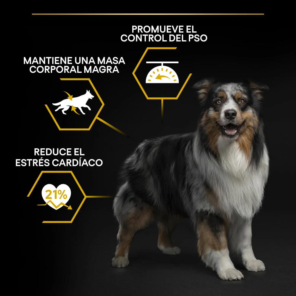 Pro Plan Dog AllSize Adult Light Sterilized Pollo 14kg+2,5kg gratis - Image 3