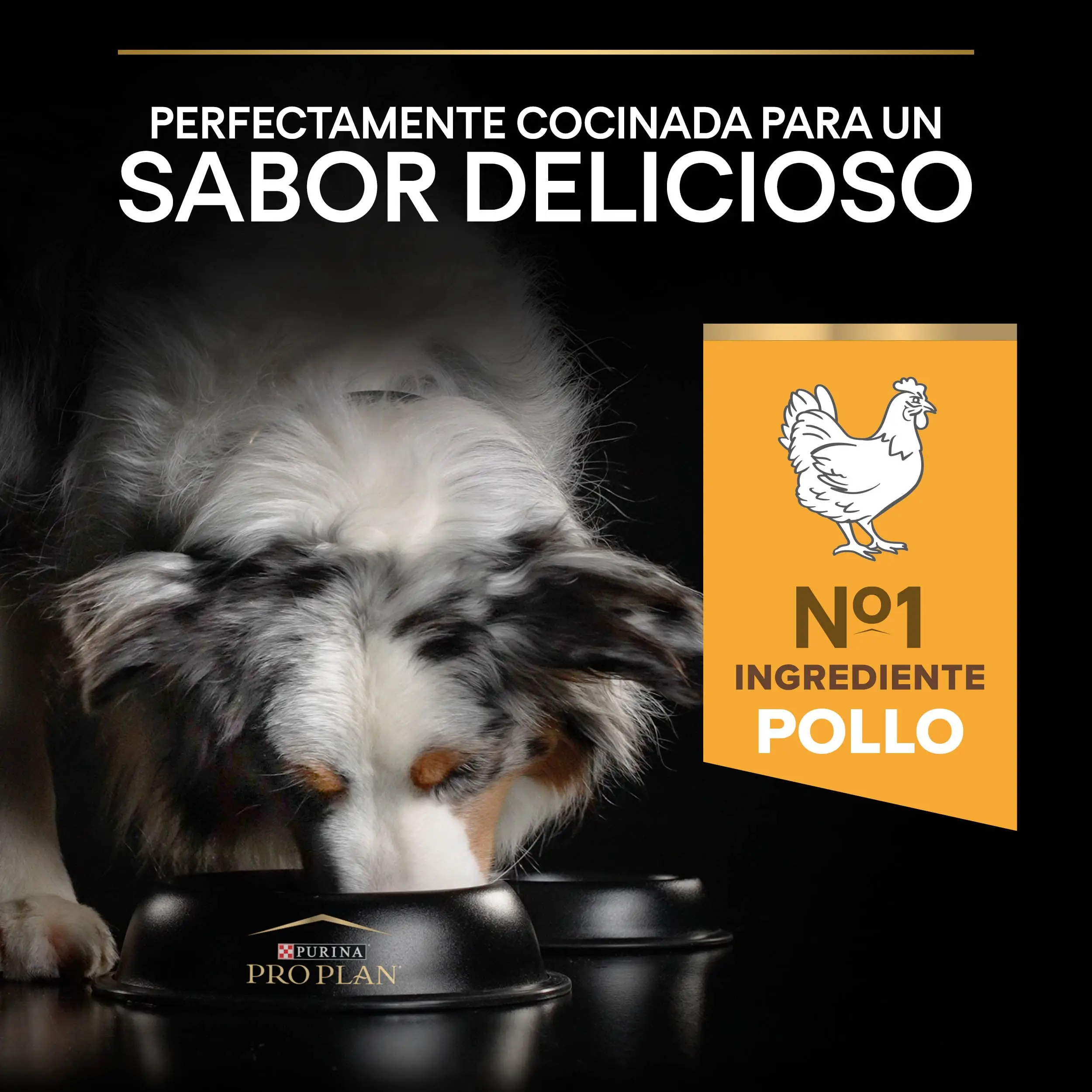 Pro Plan Dog AllSize Adult Light Sterilized Pollo 14 kg - Image 9