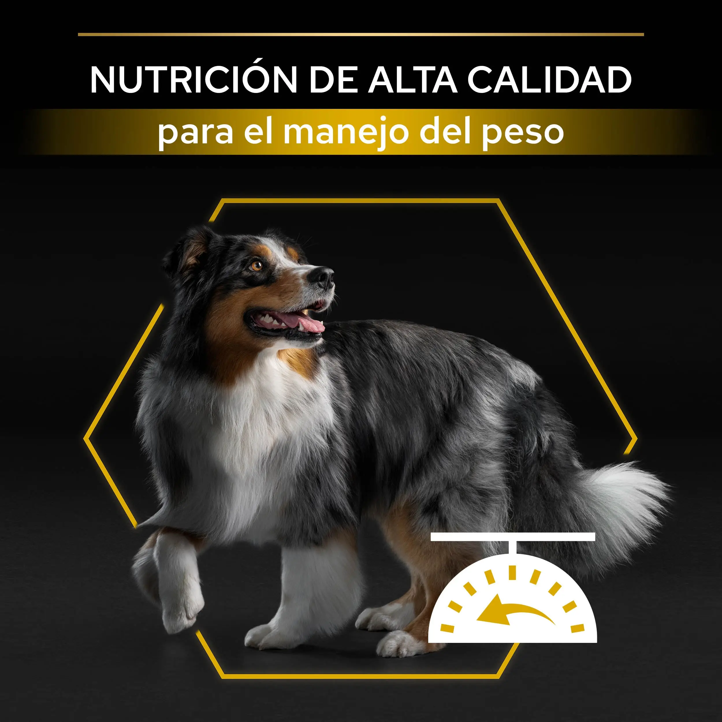 Pro Plan Dog AllSize Light Sterilized Pescado 14 kg - Image 3