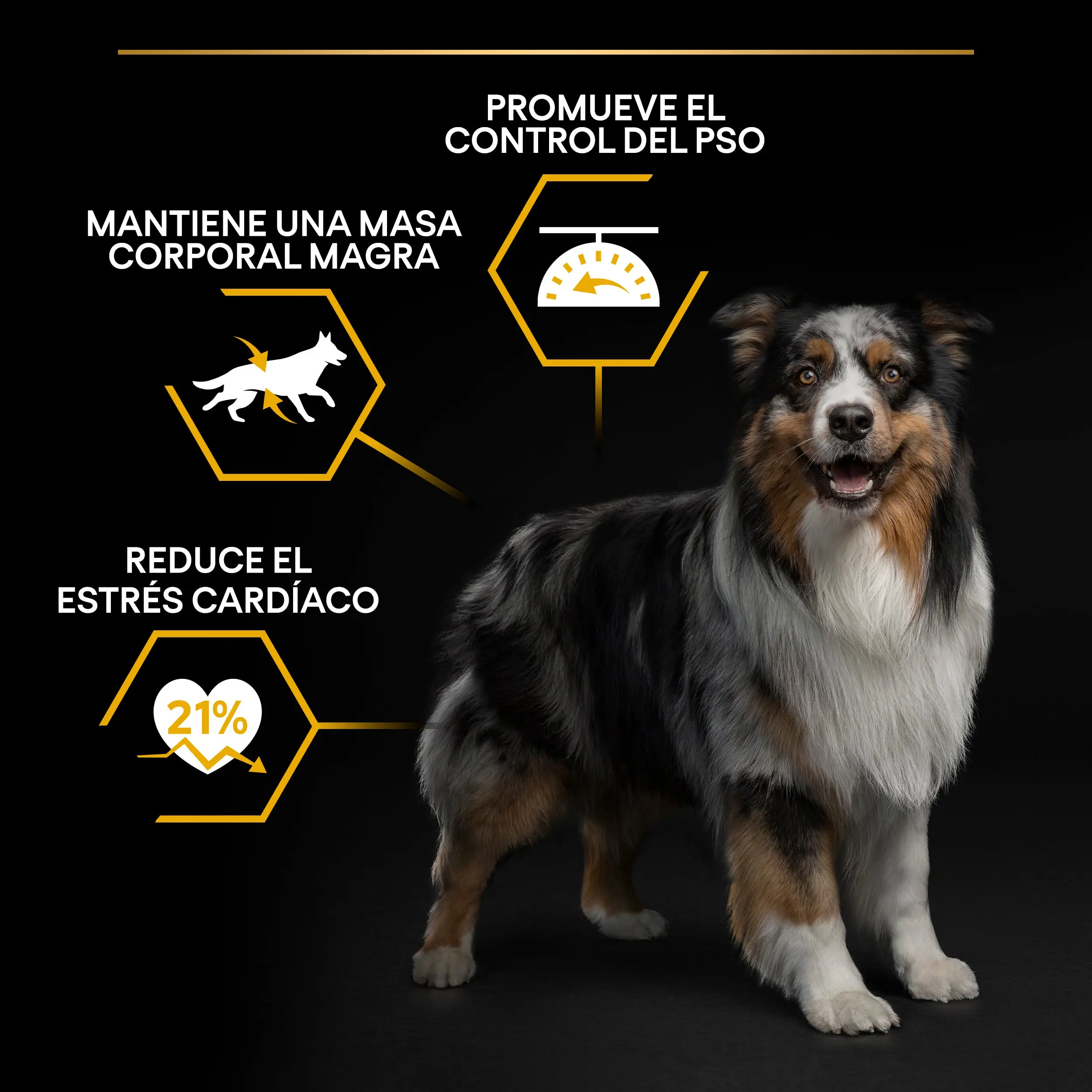 Pro Plan Dog AllSize Light Sterilized Pescado 14 kg - Image 5