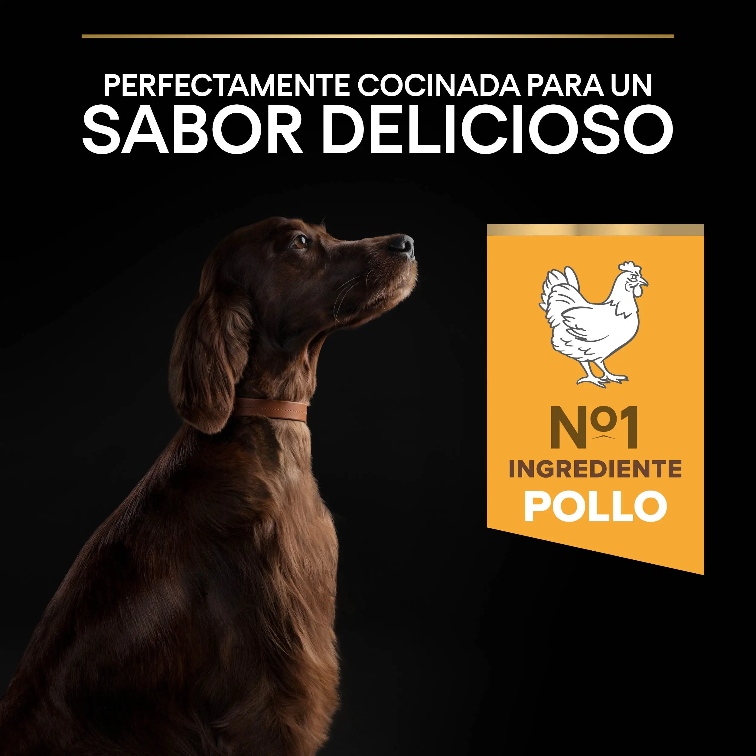 Pro Plan Dog Large Athletic Adult Pollo 14 kg - Image 8